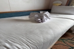Oceanview Stateroom Picture