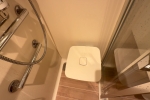 Seaview (Oceanview) Stateroom Picture