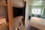 Seaview (Oceanview) Stateroom Picture