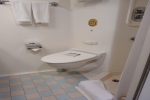Oceanview Stateroom Cabin P325. Picture