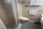 Interior Stateroom Picture