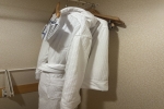 Junior Suite Stateroom Picture