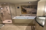 Owners Suite Stateroom Cabin 1648. Picture