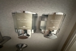 Balcony Stateroom Cabin 10636. Picture