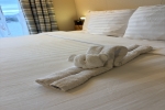 Oceanview Stateroom Cabin 4119. Picture