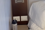Balcony Stateroom Cabin 17518. Picture