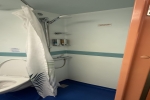 Full Window Stateroom Picture