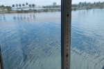 Oceanview Stateroom Cabin 3206. Picture