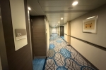 Oceanview Stateroom Cabin 7104. Picture