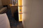 Infinite Stateroom Cabin 9690. Picture