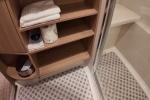 Infinite Stateroom Cabin 9690. Picture