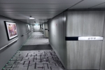 Edge Infinite Veranda Stateroom Picture