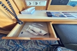 Oceanview Stateroom Cabin 3102. Picture