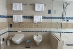 Royal Loft Suite Cabin Picture