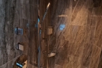 Vista Suite Stateroom Cabin 10000. Picture