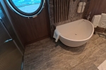 Vista Suite Stateroom Cabin 10000. Picture