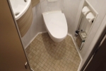 Deluxe_Inside Stateroom Cabin 11733. Picture