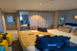 Seaview (Oceanview) Stateroom Picture