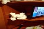 Club Suite Stateroom Picture