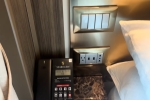 Veranda Suite Stateroom Picture