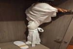 Inside Stateroom Picture
