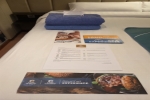 Inside Stateroom Picture
