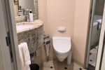 Suite Stateroom Cabin B101. Picture
