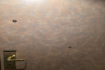 Full Window Stateroom Picture