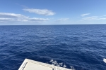 Balcony Stateroom Cabin E420. Picture