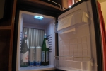 Interior Stateroom Picture