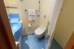 Scenic Oceanview Stateroom Picture