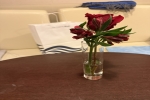 Concierge Class Stateroom Picture
