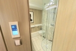 Interior Stateroom Picture