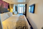 Concierge Family Verandah Stateroom Picture