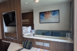 Balcony Stateroom Picture