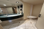 Penthouse Stateroom Cabin 4101. Picture