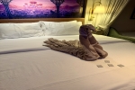 Family-Verandah Stateroom Cabin 6080. Picture