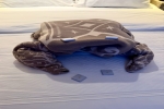 Family-Verandah Stateroom Cabin 6080. Picture