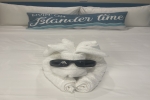 Interior Stateroom Cabin 1251. Picture
