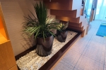 Crown Loft Suite Cabin Picture
