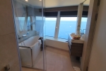 Ultimate-Panoramic Stateroom Cabin 14528. Picture