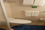 Interior Stateroom Cabin 9569. Picture