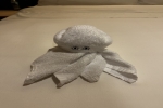 Oceanview Stateroom Cabin 2130. Picture