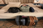 Oceanview Stateroom Cabin 2130. Picture