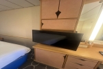 Interior Stateroom Picture