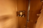 Verandah Stateroom Picture