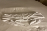 Superior Balcony Stateroom Cabin 6566. Picture