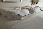Oceanview Stateroom Cabin 6208. Picture