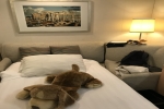Interior Stateroom Picture