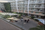 Boardwalk and Central Park Balcony Stateroom Cabin 11597. Picture